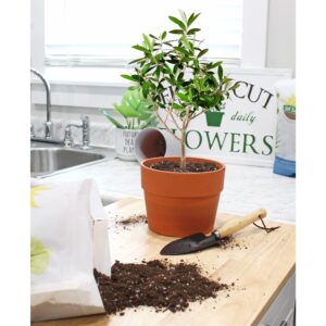 Olive Tree Potting Soil Mix (12 Quarts), for Planting, Repotting, and Growing Olive Bushes/Plants