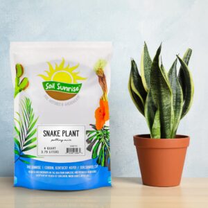 Snake Plant Potting Soil Mix (4 Quarts), Specialized Blend for Green Sansevieria Trifascatia Zeylanica Plants