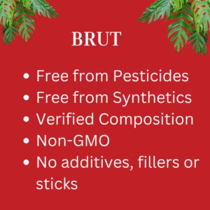 Brut Organic Potting Soil – 1 CF – Everything Your Plants Need in one Bag. Indoor and Outdoor Container Plants. 2 Pack