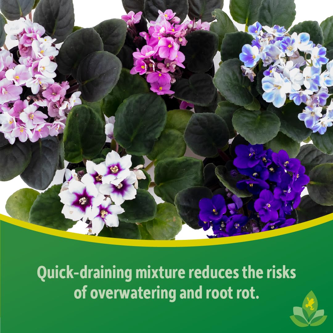 Sprig & Stone African Violet and Gesneriad Soil (1 Quart)