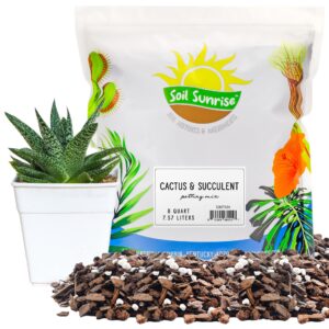 cactus and succulent potting mix (8 quarts), special blend-fast draining and desert-style gritty
