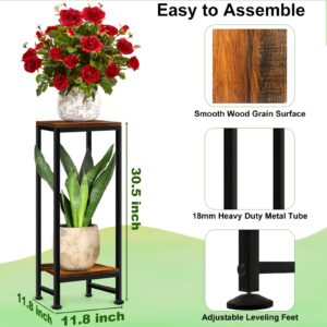 Plant Stand Indoor, Tall Plant stands for Indoor Outdoor Plants, 2 Tier Heavy Duty Plant Shelf 31" Metal Plant Stand Modern Corner Flower Stand for Patio, Living Room, Balcony