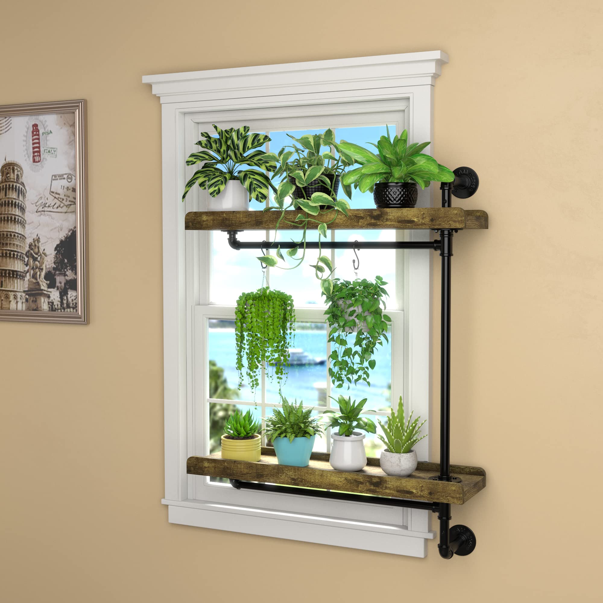 GDLF Window Plant Shelves Industrial Pipe Swivel Shelving Floating Shelves With More Space For Large Plants(Pots up to 8")