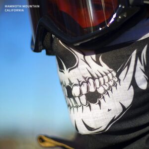 Indie Ridge Skull Motorcycle Face Mask - Motorcycle Ski Snowboard Winter Face Mask