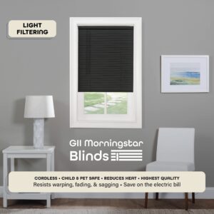 Cordless Light Filtering Mini Blind - 36 Inch Width, 48 Inch Length, 1" Slat Size - Black - Cordless GII Morningstar Horizontal Windows Blinds for Interior by Achim Home Decor