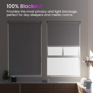 Astomi Motorized Smart Blinds for Windows Rechargeable Automatic Roller Blackout Shades with Remote Control Compatible with Alexa Google Assistant Customized (Fabric-Dark Grey)