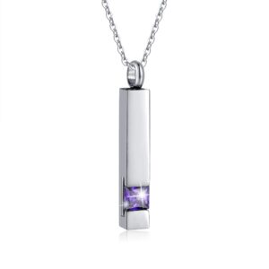 RIMZVIUX Vertical Bar Zircon Cremation Jewelry for Ashes Men Women Urn Necklace for Ashes Mom Dad Grandpa Grandma …