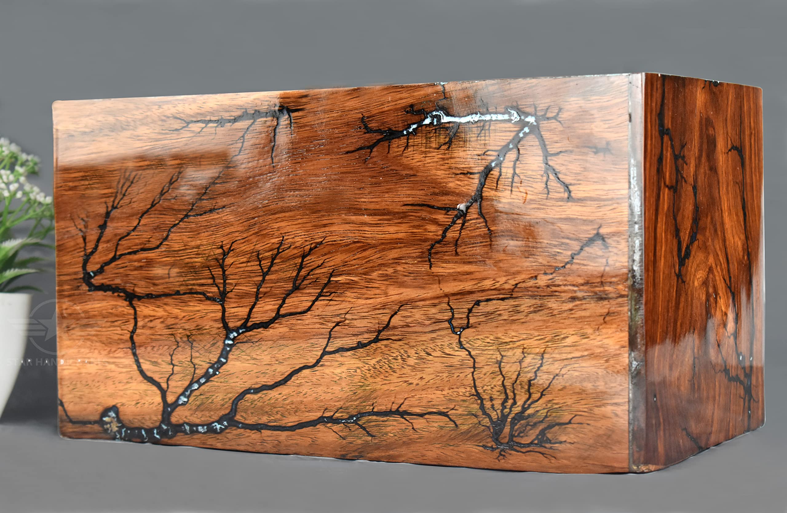 Lichtenberg Figure Urn for Human Ashes Rosewood and Resin Cremation urn Burial Urn Box Adult Large Funeral Ashes Urn for Adults up to 250 CB Active (Only Lichtenberg)