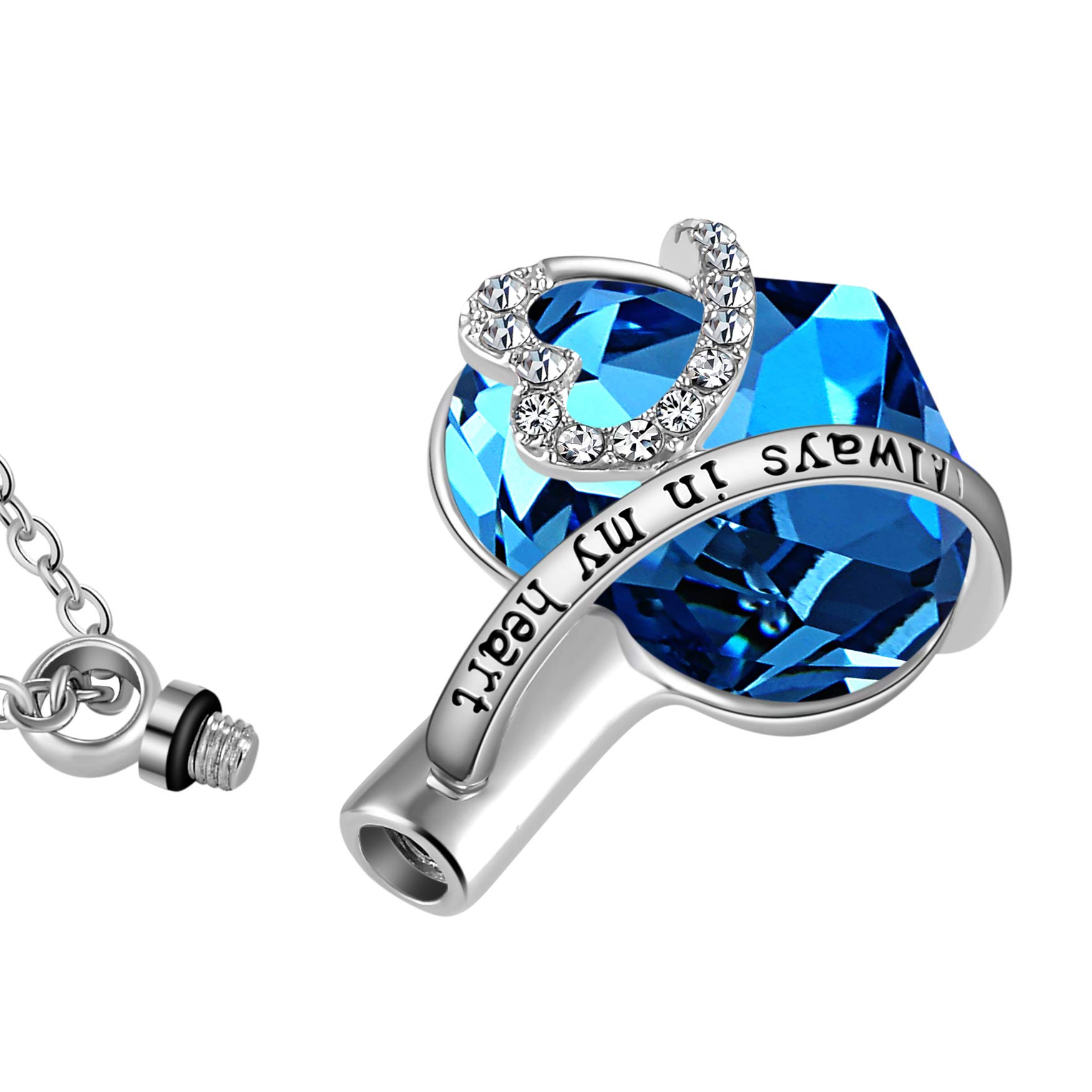 MeiceM Womens Always in My Heart Urn Necklace Heart Memerial Keepsake Pendant Ash Holder Cremation Jewelry (Blue)