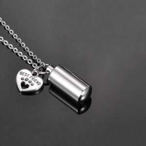 TTVOVO Pet Cremation Urn Necklace for Ashes Memorial Keepsake Ashes Holder Urn Locket Best Friend Dog Paw Urn Cylinder Necklace with Angel Wing Charm Pendant Necklace for Men Women Remembrance Jewelry