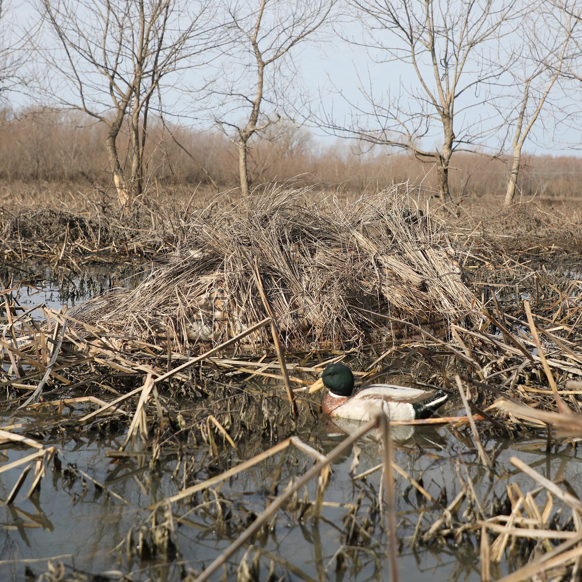 Momarsh Invisi Lay Blind System for Waterfowl Hunting in Optifade Marsh