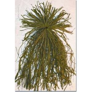 Beavertail Ghillie Grass Bundles, Natural