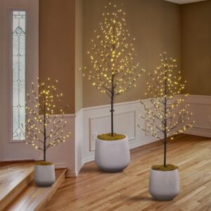 lightshare set of 3 star light trees, including 3 feet, 5 feet, and 6 feet, warm white, brown branch