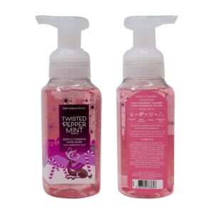 Bath and Body Works Holiday Traditions Gentle Foaming Hand Soap (Set of 5)