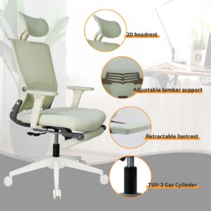 Foldable Ergonomic Office Chair, High Back Desk Chair with Footrest, Mesh Back Computer Chair with Fixed Headrest, 2D Armrest, Adjustable Lumbar Support, Soft Sponge Seat, Swivel Task Chair, Green