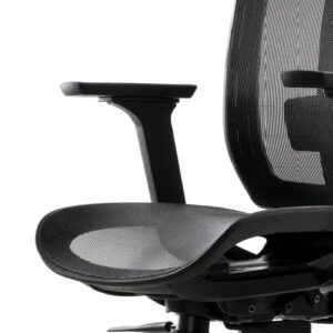 Ergonomic Office Chair with Adjustable 4D Armrest Headrest & Lumbar Support, High Back Mesh Computer Chair for Home and Office