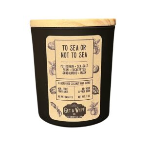 Sea Salt & Musk Soy Candle | Man Candle | Scented Candle | Aromatherapy Candle | Unique Candle | Crackling Candle | Candle Gift | Cool Candle | Clean Candle | Coconut Wax Candle