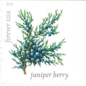 Winter Berries Book of 20 First Class US Postage Stamps Wedding Celebrate Engagement (20 Stamps)