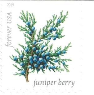 Winter Berries Book of 20 First Class US Postage Stamps Wedding Celebrate Engagement (20 Stamps)