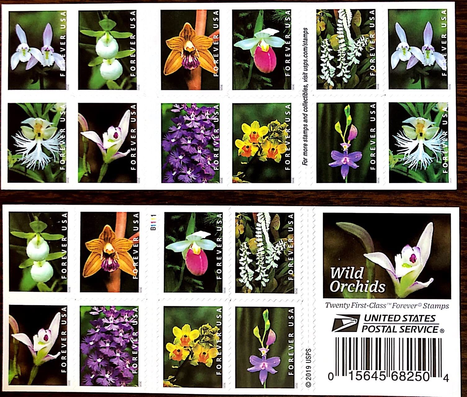 Wild Orchids Flowers Book of 20 Current First Class Postage Stamps Scott 5444