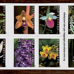 Wild Orchids Flowers Book of 20 Current First Class Postage Stamps Scott 5444