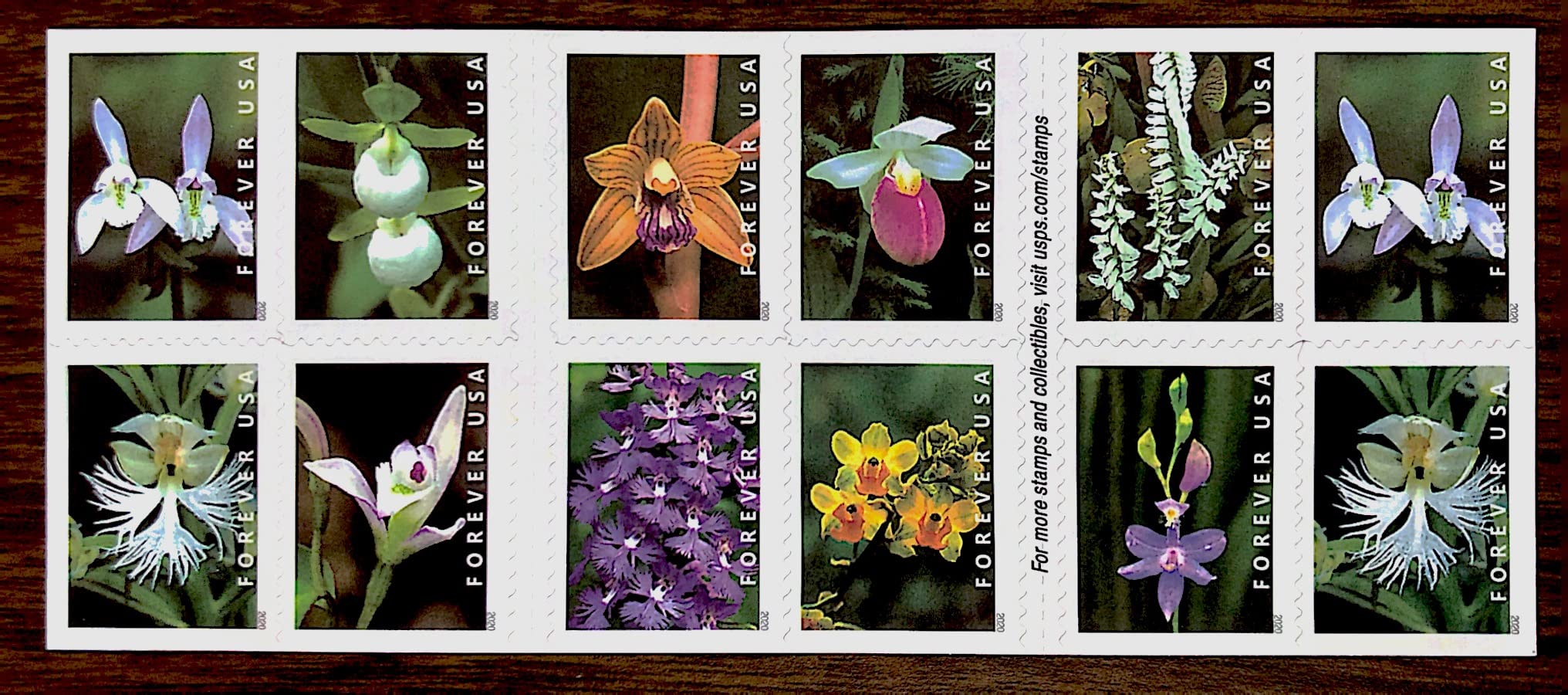 Wild Orchids Flowers Book of 20 Current First Class Postage Stamps Scott 5444