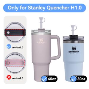 Hotanry 6pcs Spill Stopper Set for Stanley Quencher H1.0 40oz & 30oz Tumbler with Handle, Stanley Cup Accessories Including 2 Straw Cover Cap, 2 Square Spill Stopper, 2 Round Leak Proof Stopper