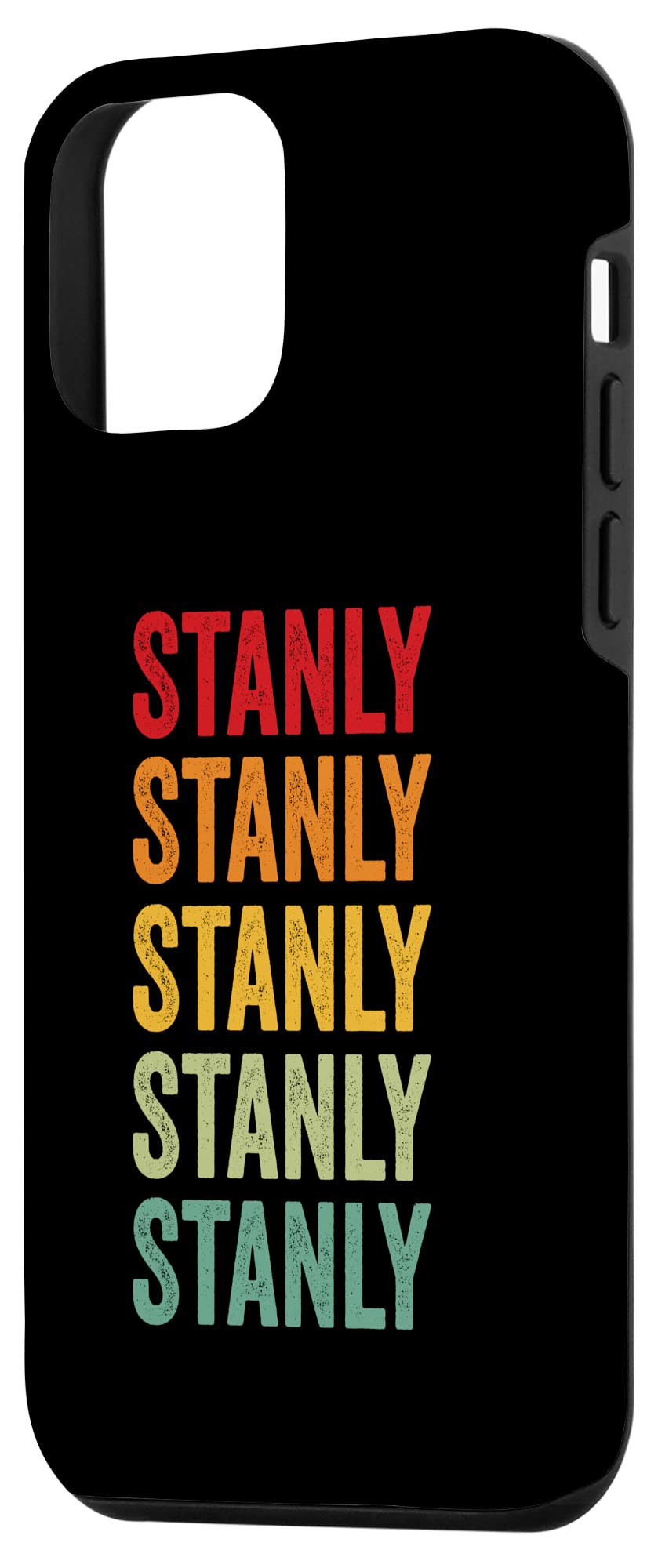 iPhone 12 mini Stanly County, North Carolina, Rainbow Text Design Case