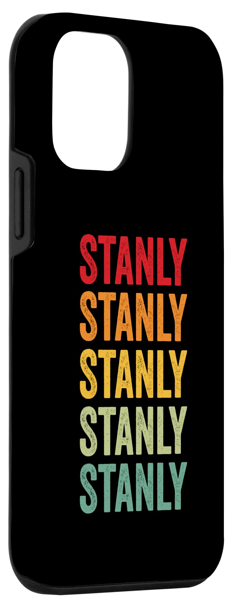 iPhone 12 mini Stanly County, North Carolina, Rainbow Text Design Case