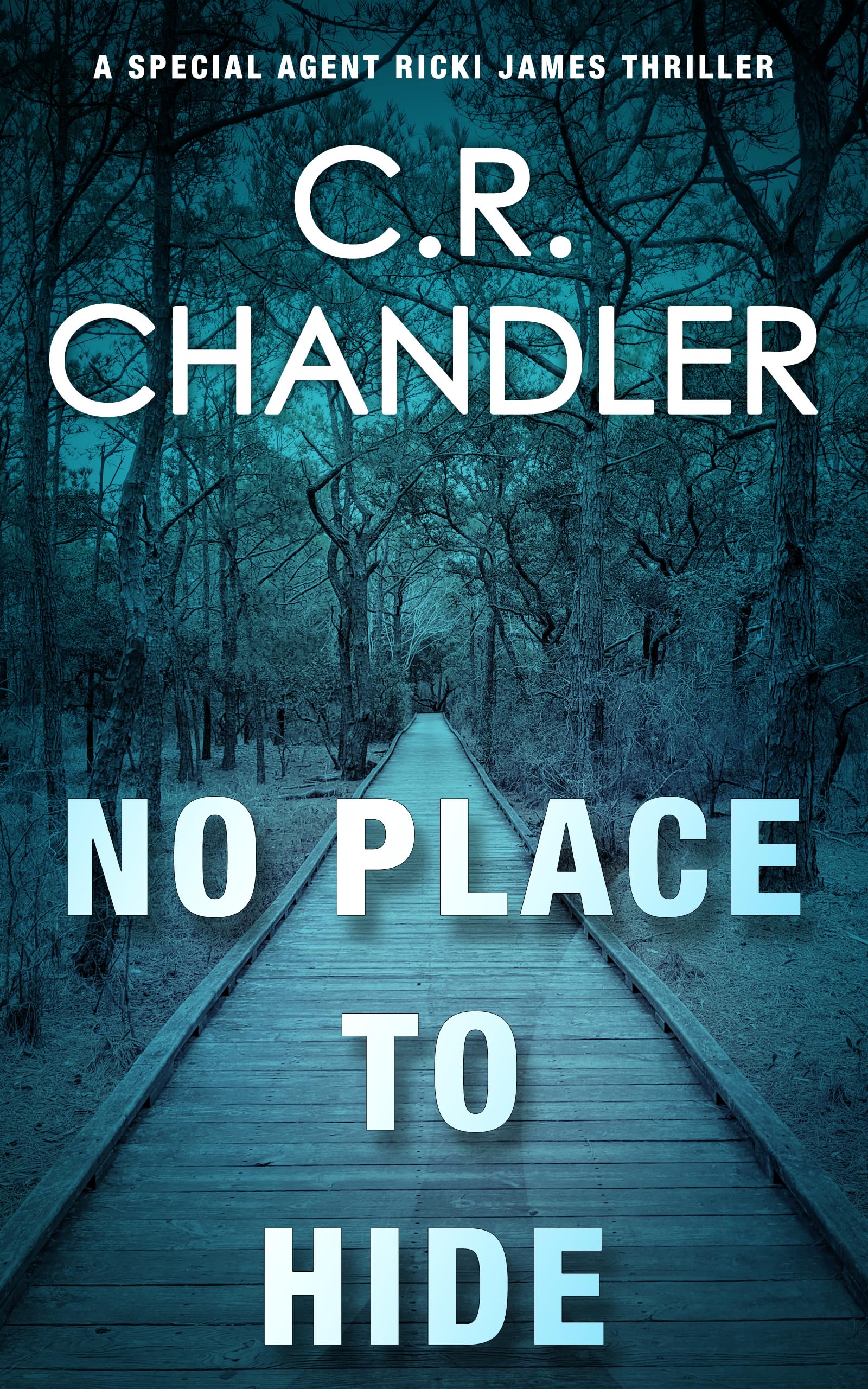 No Place To Hide (Special Agent Ricki James Book 10)