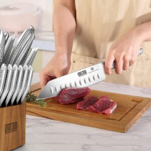 HOSHANHO Kitchen Knife Set with Block, 16-Piece Sharp Japanese Stainless Steel Chef Knife Set, Professional Knife Block Set with Sharpener