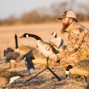 Lucky Duck Lucky Flapper Canada Goose