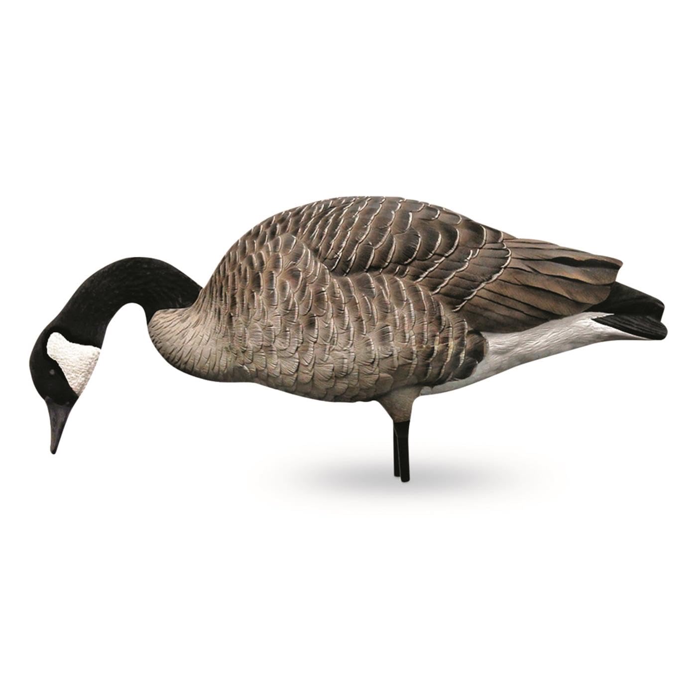 Avian-X AXP Full-Body Honkers Realistic Canadian Goose Hunting Decoys with Collapsible Stands - Fusion Pack of 6