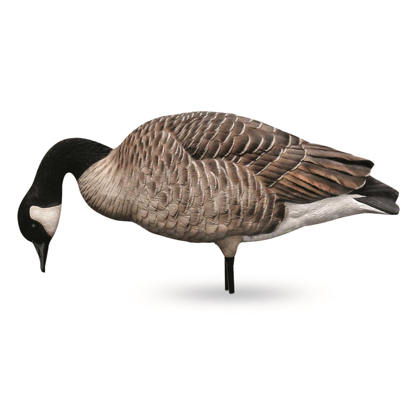 Avian-X AXP Full-Body Honkers Realistic Canadian Goose Hunting Decoys with Collapsible Stands - Fusion Pack of 6