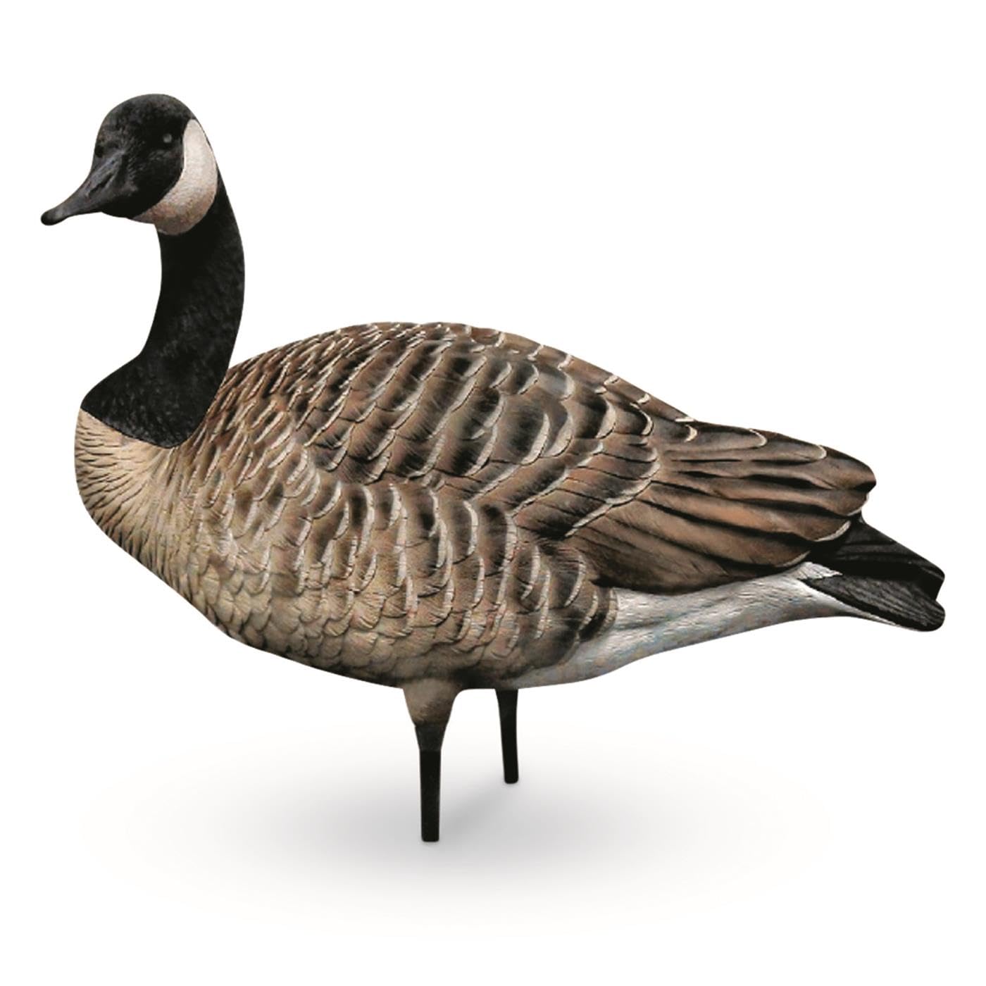 Avian-X AXP Full-Body Honkers Realistic Canadian Goose Hunting Decoys with Collapsible Stands - Fusion Pack of 6