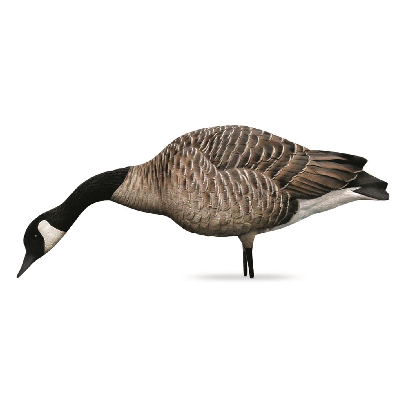 Avian-X AXP Full-Body Honkers Realistic Canadian Goose Hunting Decoys with Collapsible Stands - Fusion Pack of 6