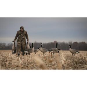 Avian-X AXP Full-Body Honkers Realistic Canadian Goose Hunting Decoys with Collapsible Stands - Fusion Pack of 6