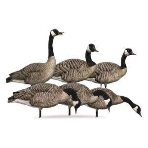 Avian-X AXP Full-Body Honkers Realistic Canadian Goose Hunting Decoys with Collapsible Stands - Fusion Pack of 6