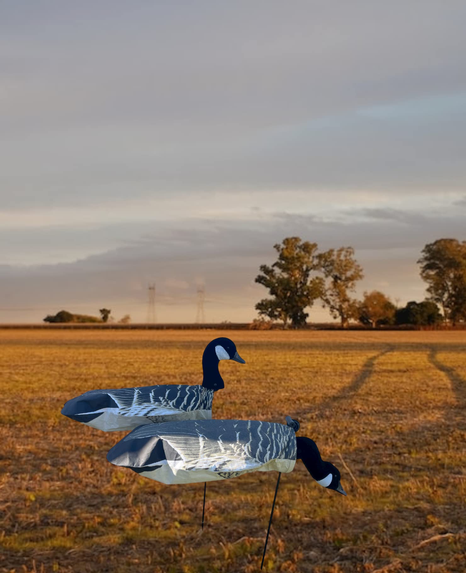 SnowDown Decoys Canada Goose Feeder Socks. Canada Goose Windsocks with Flocked 3D Heads!