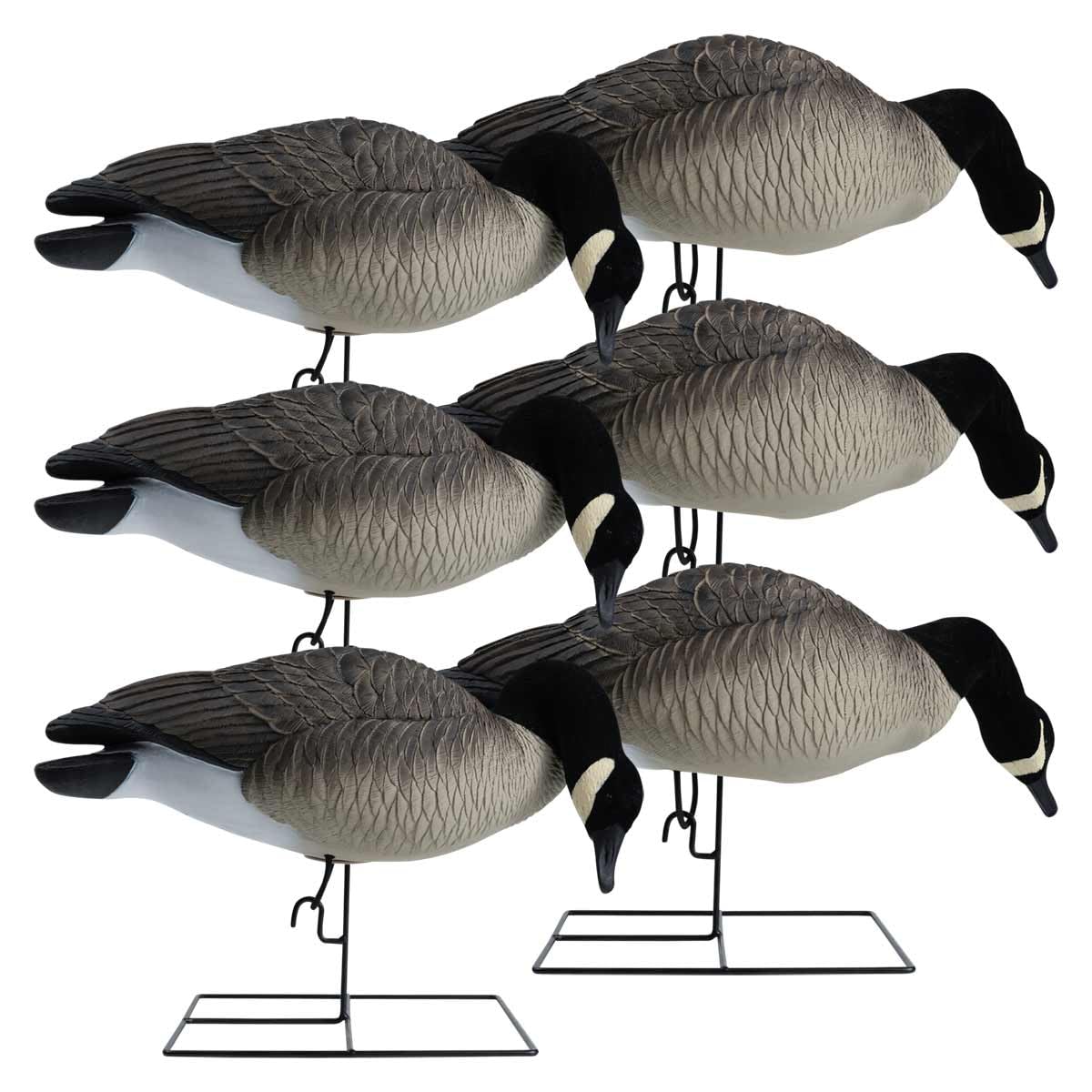 Hardcore Waterfowl Rugged Series Full Body Flocked Head Canada Goose Hunting Decoys - Feeder 6 Pack