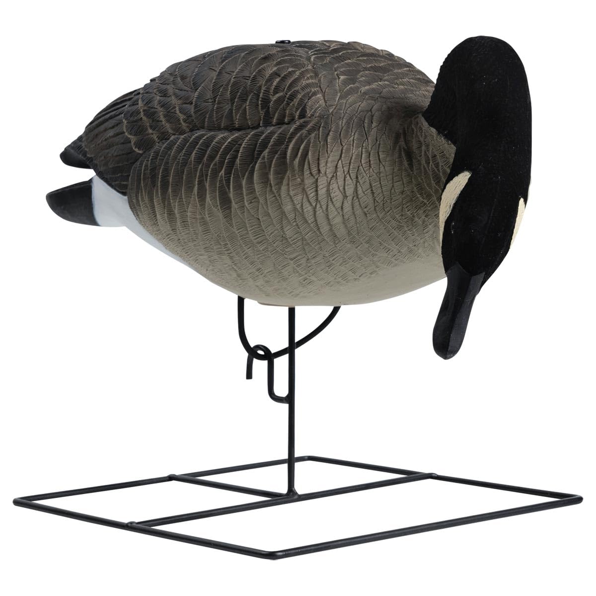 Hardcore Waterfowl Rugged Series Full Body Flocked Head Canada Goose Hunting Decoys - Feeder 6 Pack