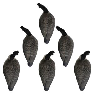 Hardcore Waterfowl Rugged Series Full Body Flocked Head Canada Goose Hunting Decoys - Feeder 6 Pack