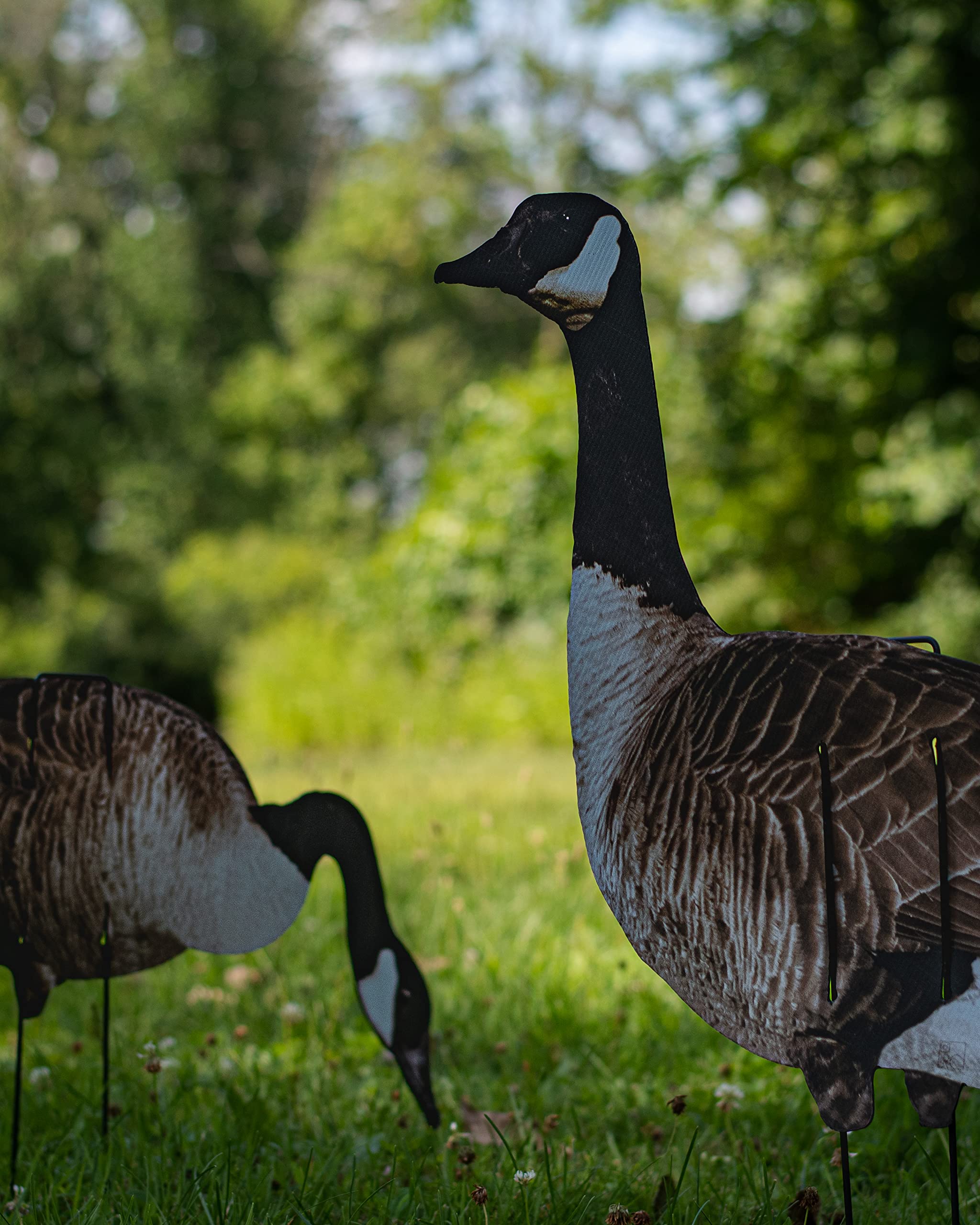 Real-Geese 1 Doz Vivid Series Silhouette Decoys