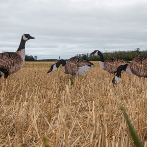 Real-Geese 1 Doz Vivid Series Silhouette Decoys