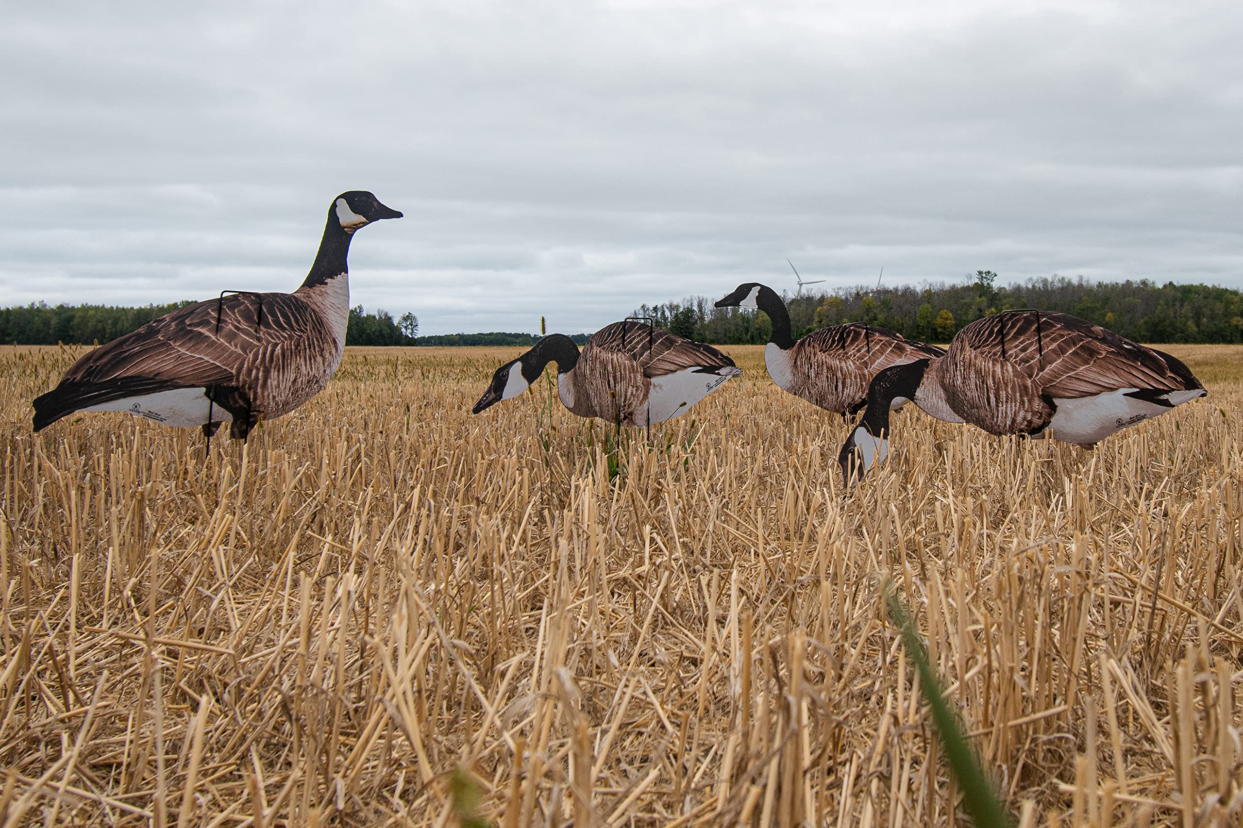 Real-Geese 1 Doz Vivid Series Silhouette Decoys