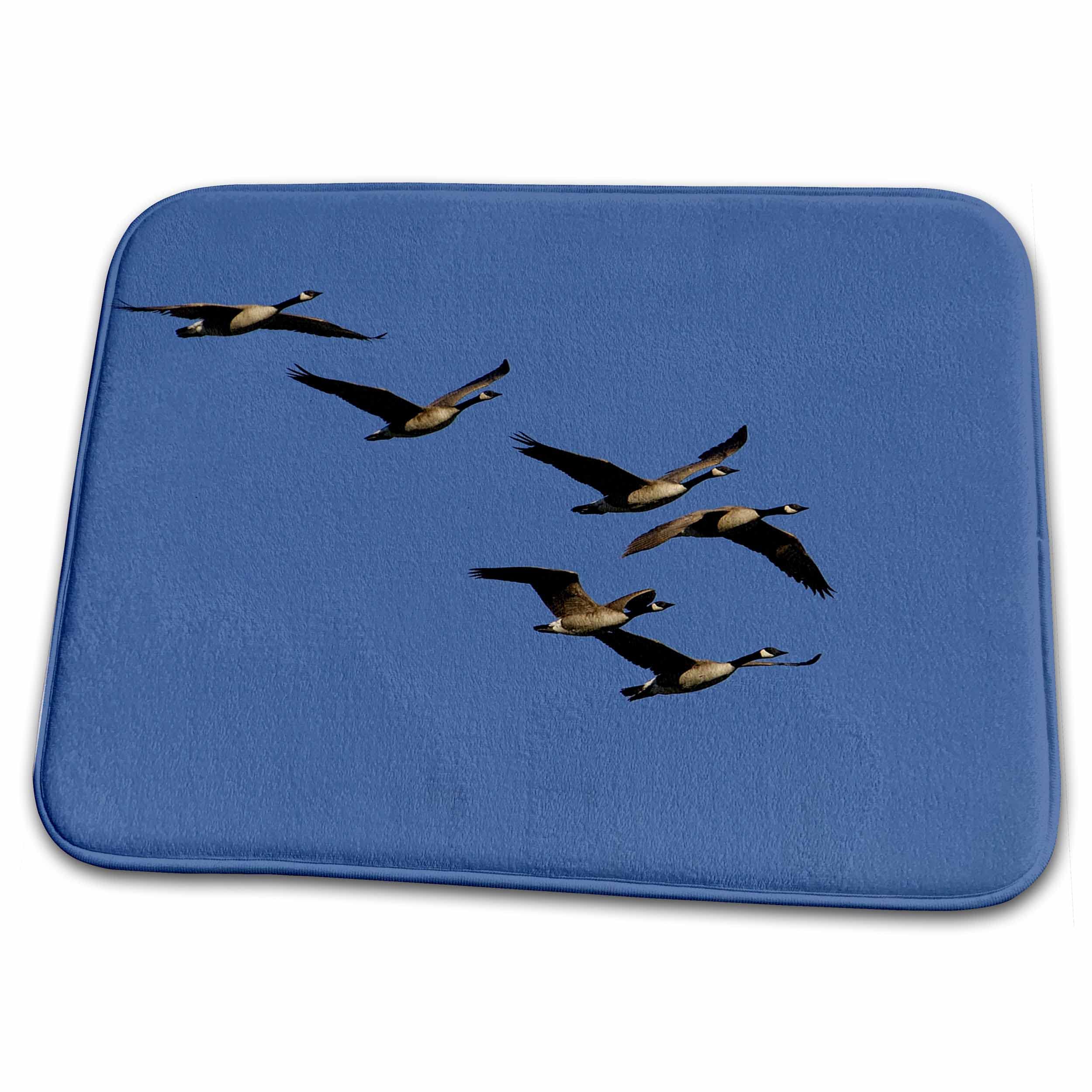 3dRose - Canada Geese, Grand Teton NP, Wyoming - US51 POX0040 - Pete Oxford - Bathroom Bath Rug Mat - (rug-97516-1)