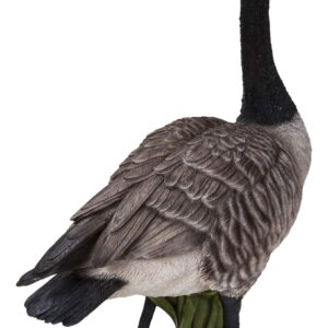 Hi-Line Gift Standing Canada Goose Statue, Grey/Natural