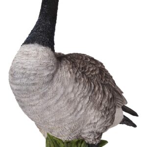 Hi-Line Gift Standing Canada Goose Statue, Grey/Natural