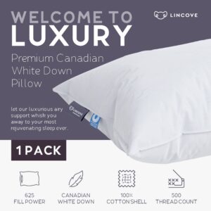 Lincove Cloud Natural Canadian White Down Luxury Sleeping Pillow - 625 Fill Power, 500 Thread Count Cotton Shell, Made in Canada, Standard - Soft, 1 Pack