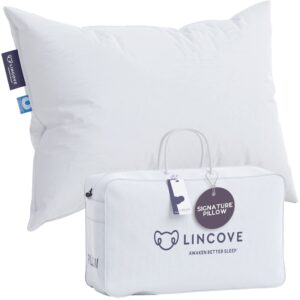 lincove signature 100% natural canadian white down luxury sleeping pillow - 800 fill power, 500 thread count cotton shell, made in canada, king - firm, 1 pack